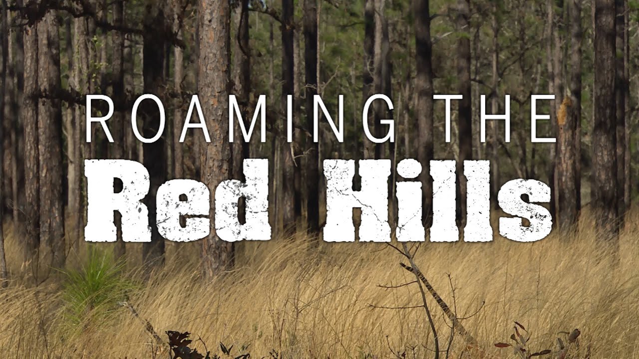 Roaming the Red Hills | The Complete Adventure