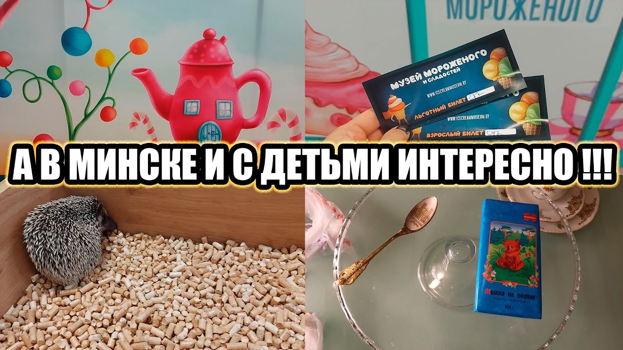 Музей мороженого в Минске/Антикафе с африканскими ежиками/Новинки от кондитерской фабрики Коммунарка