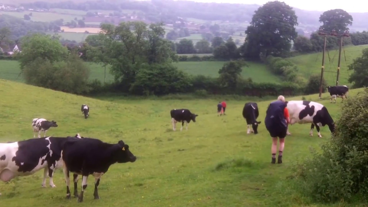 Cotswold Way stage 4 Birdlip to Selsley