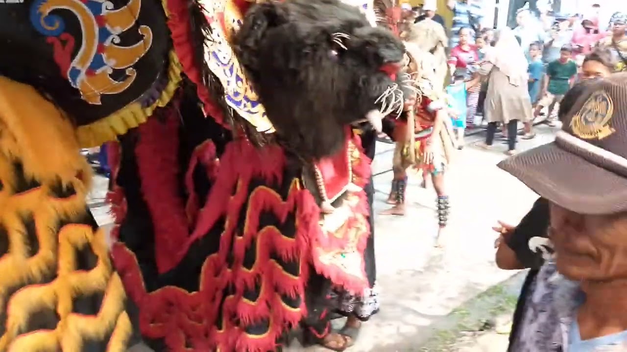 Barongan Putro Turonggo samudro demak live Bonangrejo panjunan Demak