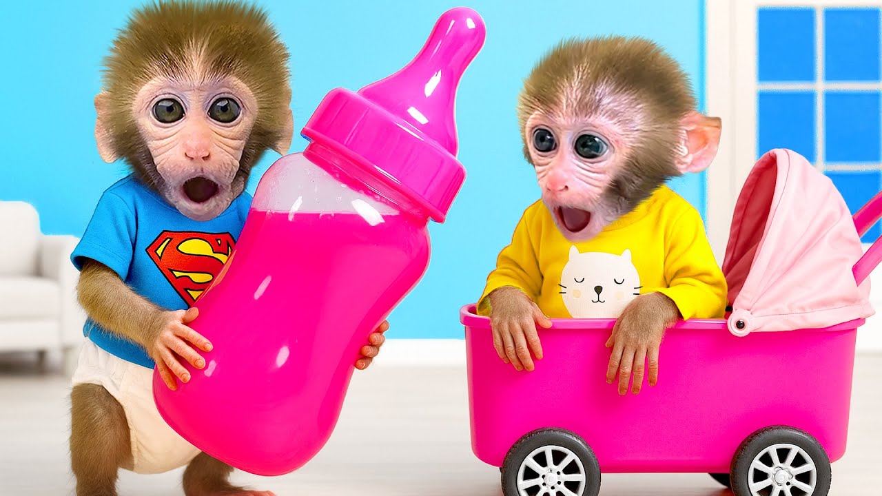 Mono BonBon actúa como buen hermano mayor y cuida a su hermanito adorable