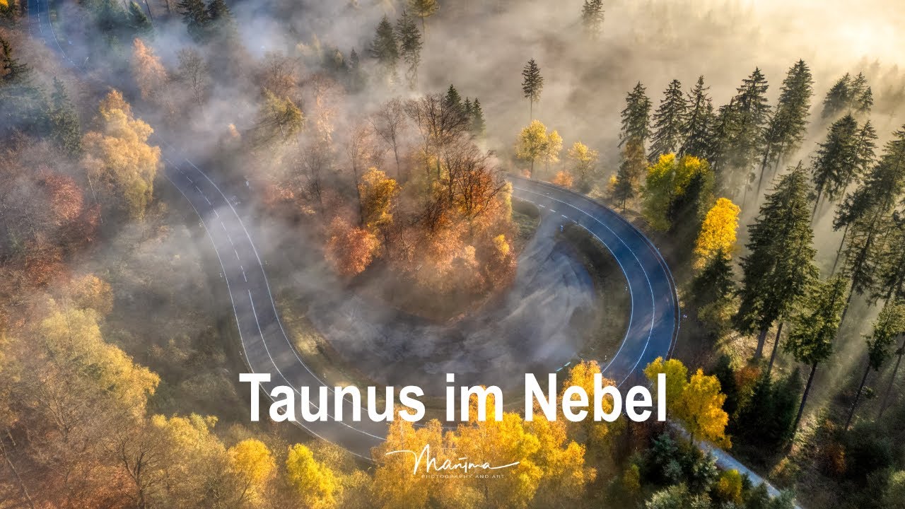 Wenn der Wald im Nebel verschwindet