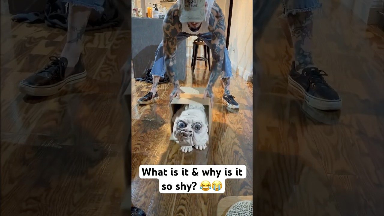 What is it & why is it so shy? 😂😭