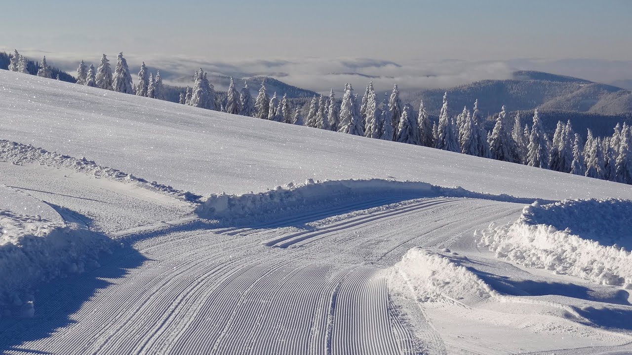Schneeberichte für die Tourenplanung im Schwarzwald | Raus mit Klaus