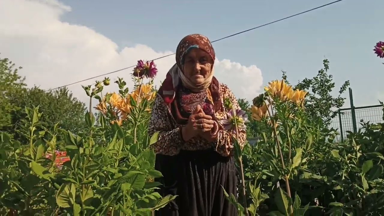 🌹🌹🌹Gülbahçe köyü Hakime ananin cicekleri