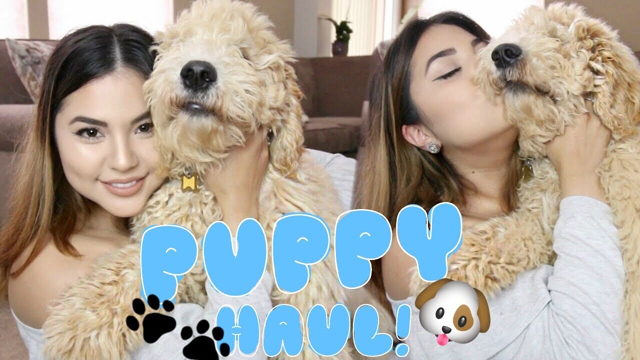 Puppy Haul! Goldendoodle Puppy!  | Homegoods + TJMaxx!