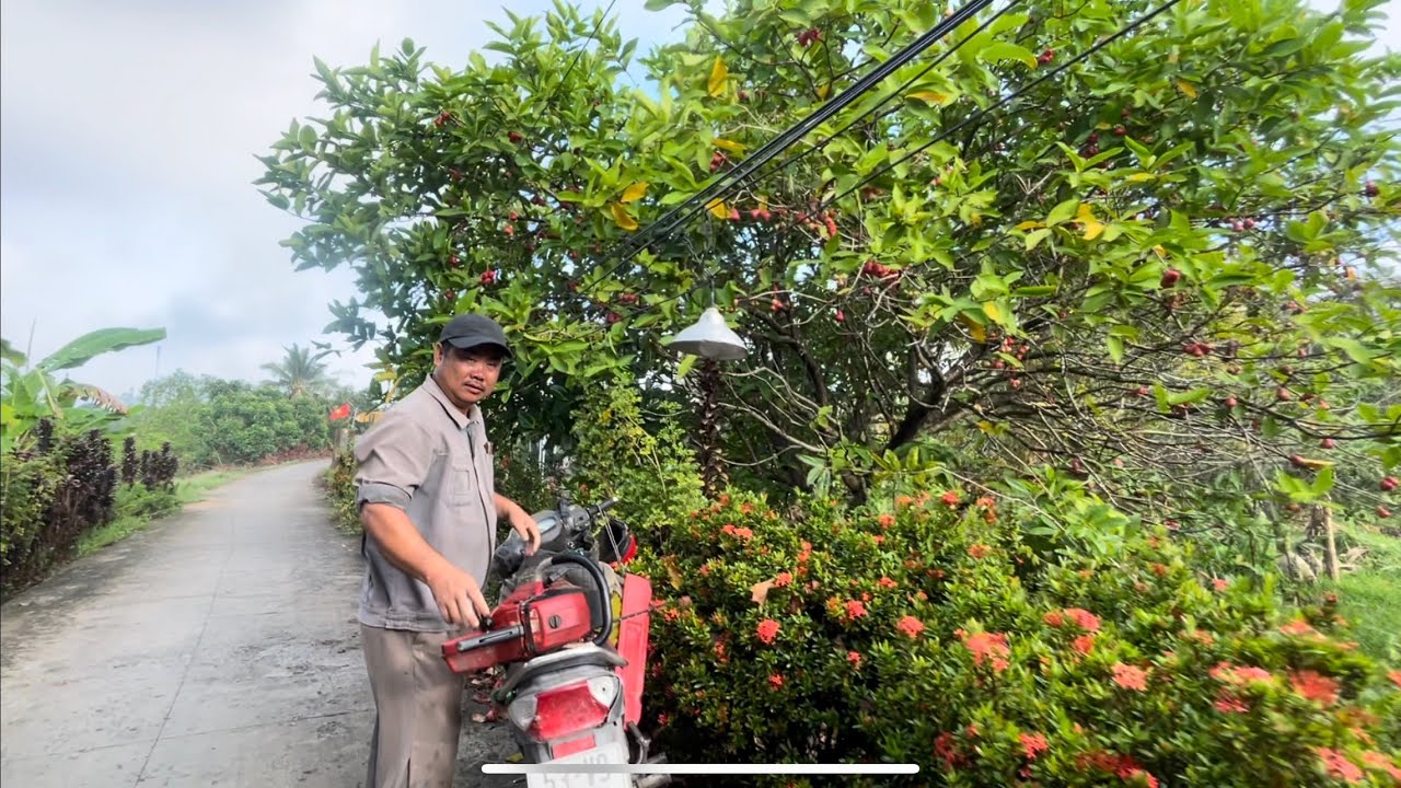 Nhóm A Kiệt leo Cưa cây Mân khủng và những cây trong khu vườn 