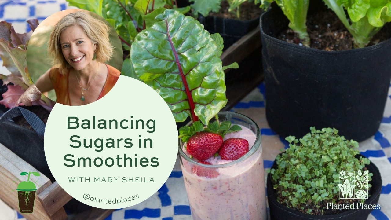 Balancing Sugars in Smoothies withMary Sheila