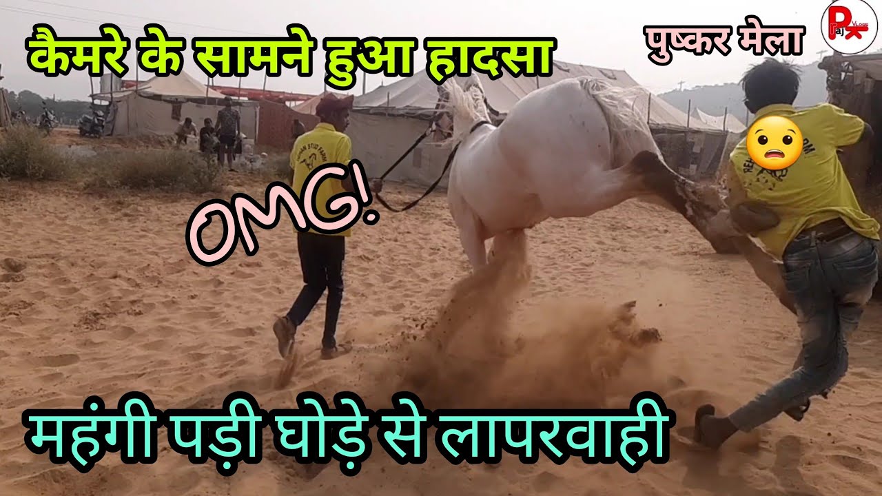 कितनी दर्दनाक होती है घोड़े की लात | kitni khatarnak hoti hai ghode ki laat | pushkar mela 2021