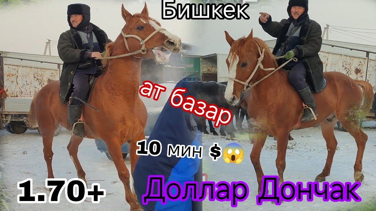 18-Январь ДОНЧАК СООДАСЫ КЫЗЫП 10 МИН $ ДОЛЛАР ДЕДИ БИШКЕК ЖЫЛКЫ БАЗАР 