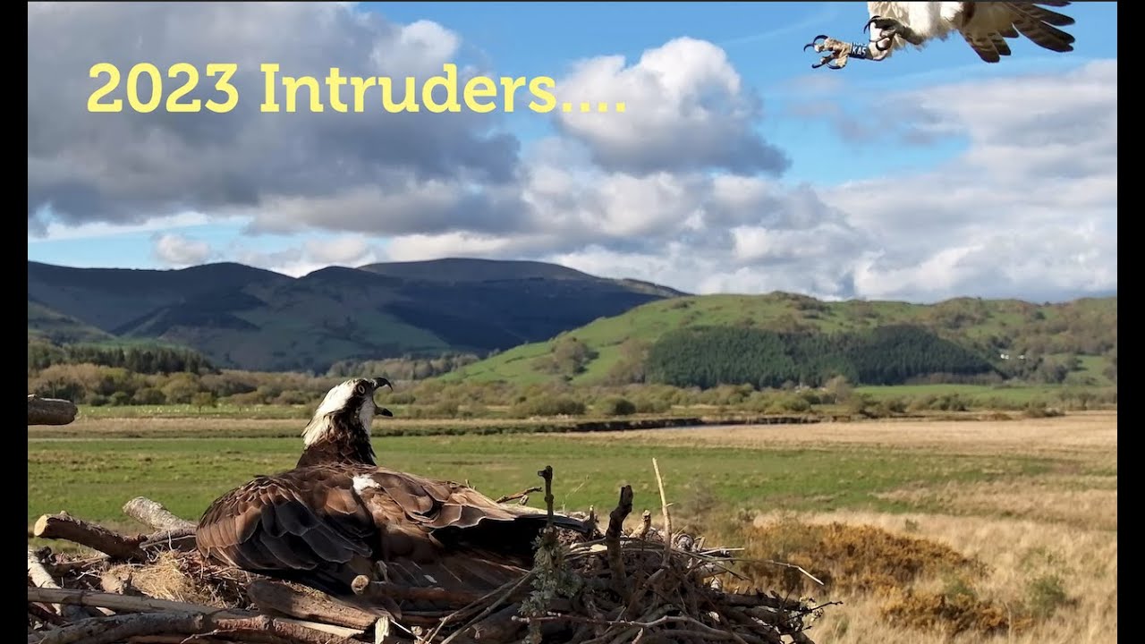 2023 Intruders so far