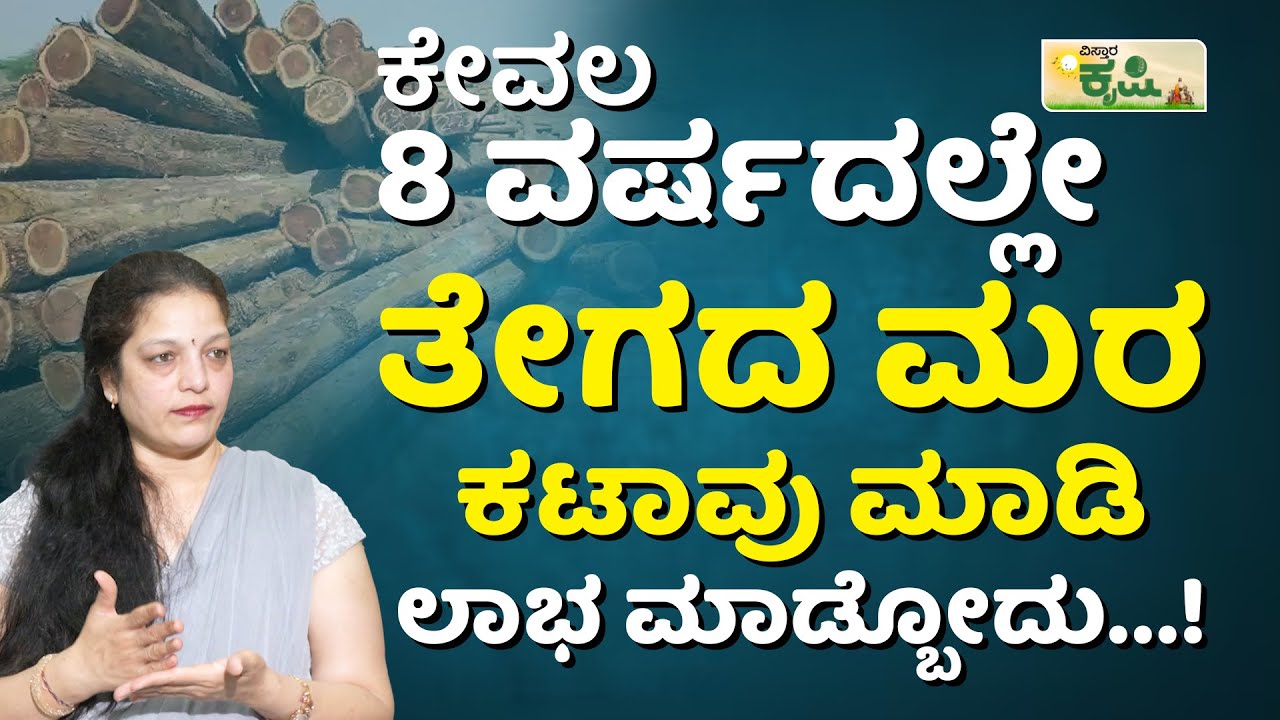 1 ಎಕರೆಯಲ್ಲಿ ಎಷ್ಟು ತೇಗದ ಮರಗಳನ್ನು ಬೆಳೆಸಬೇಕು…? | Teak Wood Tree Cultivation And Farming In Kannada