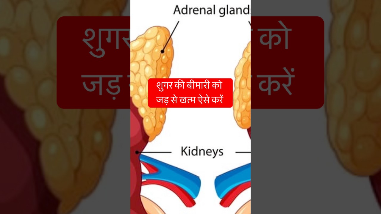 शुगर की बीमारी को जड़ से खत्म ऐसे करें #dakshealth #shorts #shortsviral #shortsvideo #shortsyoutube