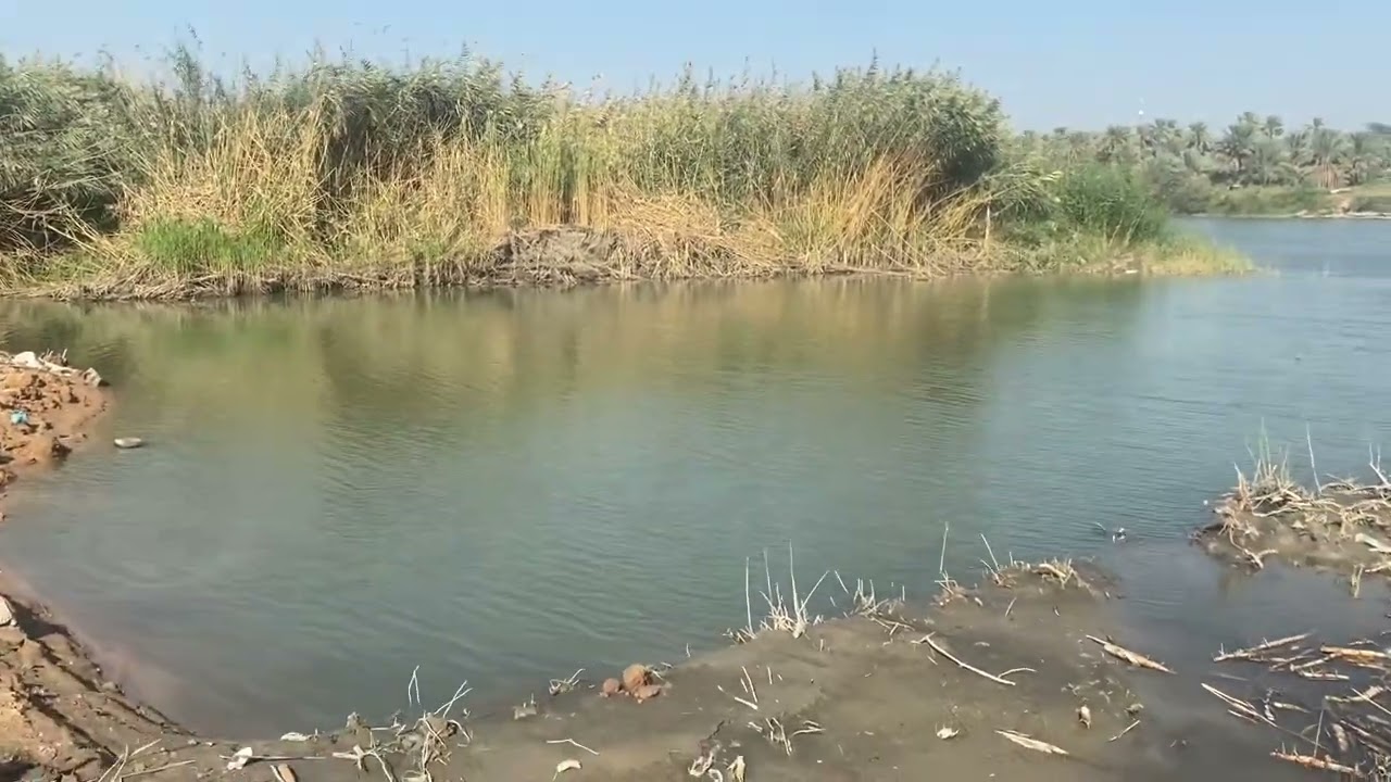 ٧ تشرين الثاني، ٢٠٢٣