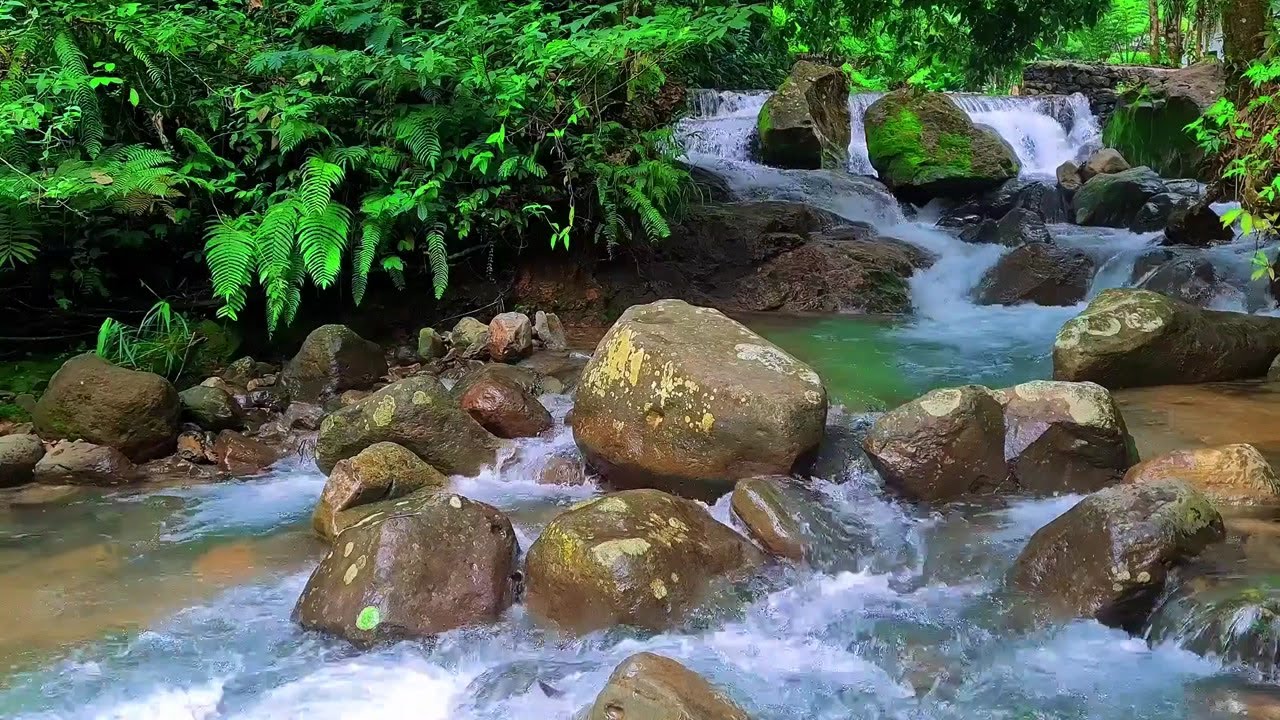 Serene River Water Flow | Peaceful Nature Sounds for Relaxation and Better Sleep
