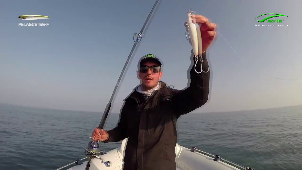 Jack Fin Pelagus 165-F - Action Video