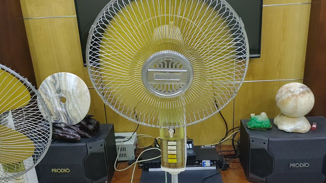 Quạt cây điện cơ thống nhất Việt Nam