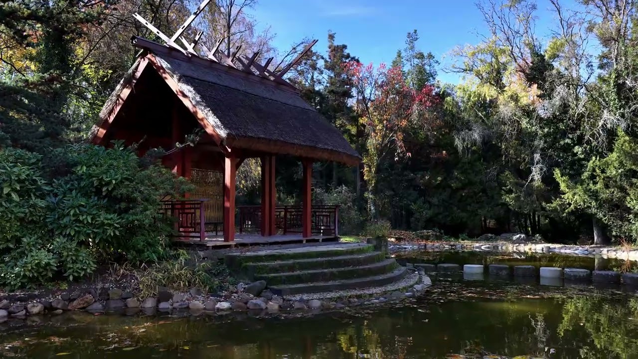 Arboretum