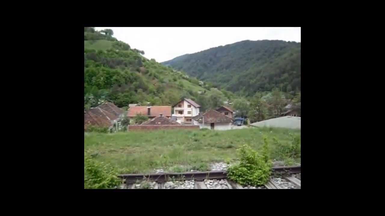 Dabravine