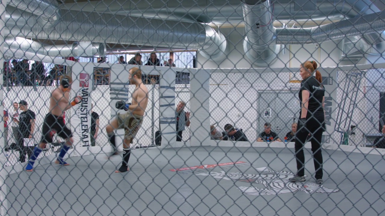 22.4.2017 MMA HardKnocks 4 . Male, C class, - 65.8 kg