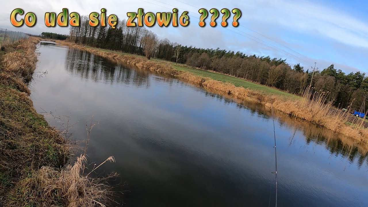 Okonie z nizinnej rzek -  na lekko / PZW  / Spinning luty 2022