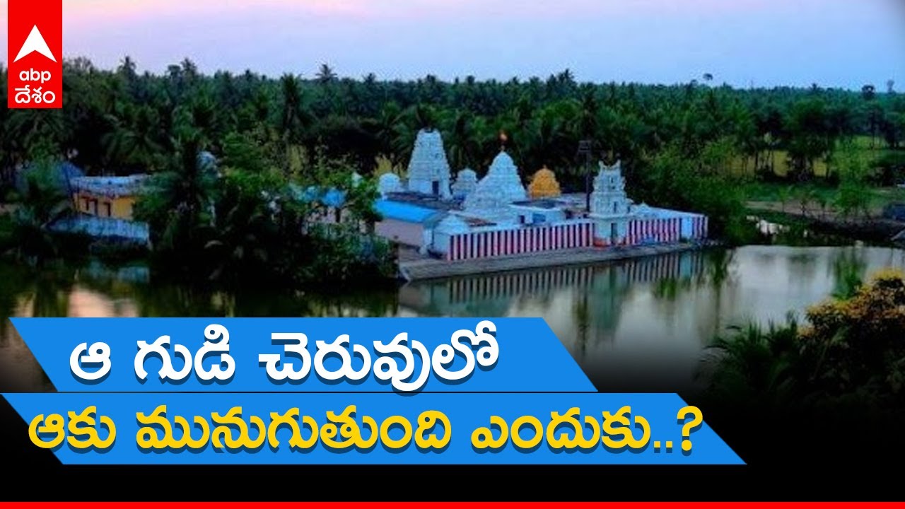 History Of Kadali Kapotheswara Swamy Temple: కడలి కపోతేశ్వరస్వామి గుడి ఇంత ఫేమస్ ఎందుకు..?