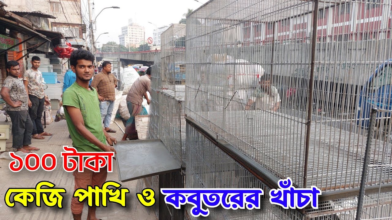 ১০০ টাকা কেজি পাখি ও কবুতরের খাঁচা কিনুন/কবুতরের খাঁচার/পাখির খাঁচা/খাঁচার দোকান/পাখি ওকবুতরের খাচাঁ