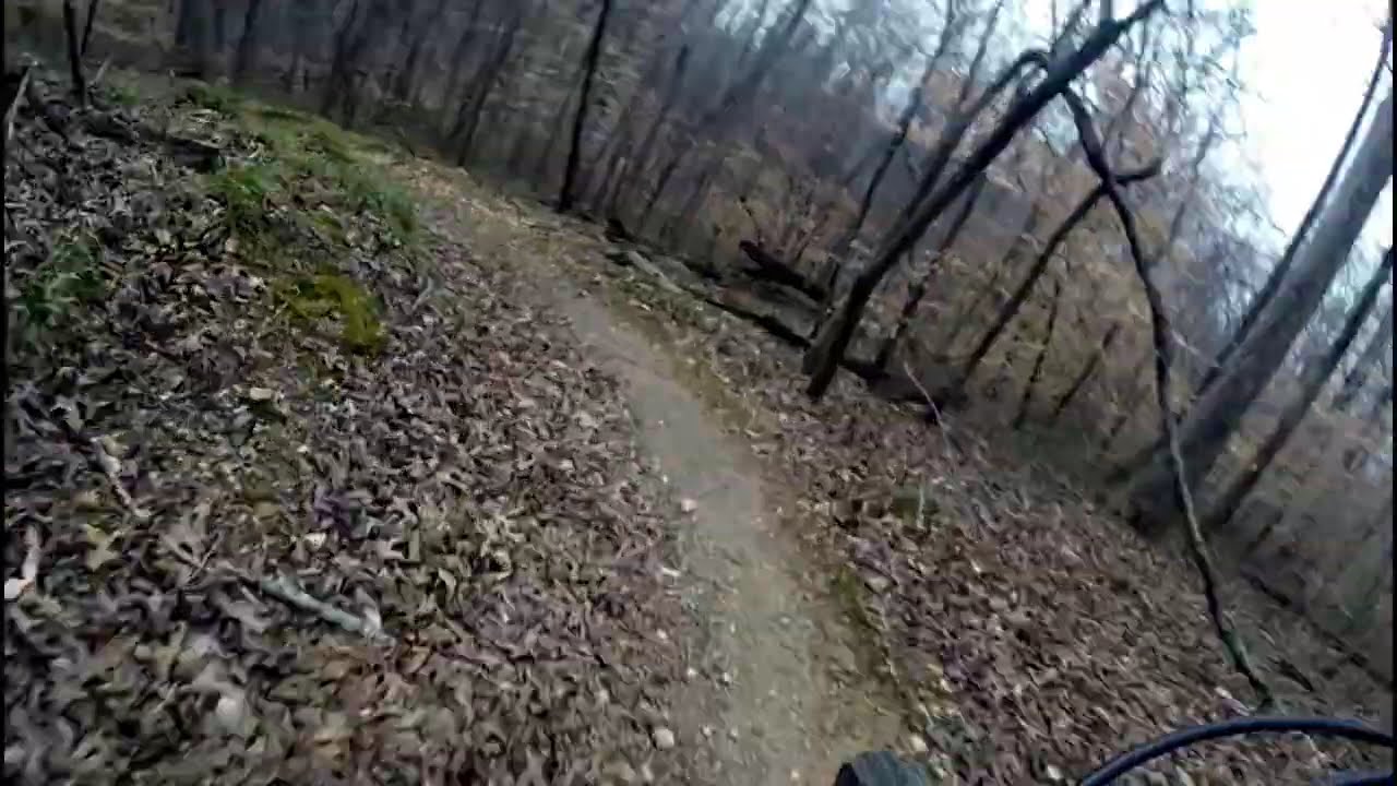 Wilkins Branch with Chad