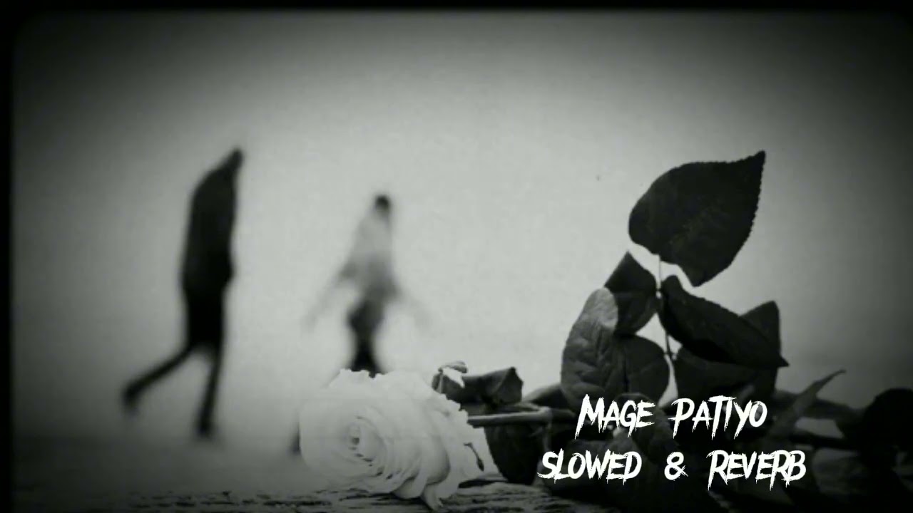 Mage patiyo | slowed & reverb  #magepatiyo #music #slowedandreverb #ruwani