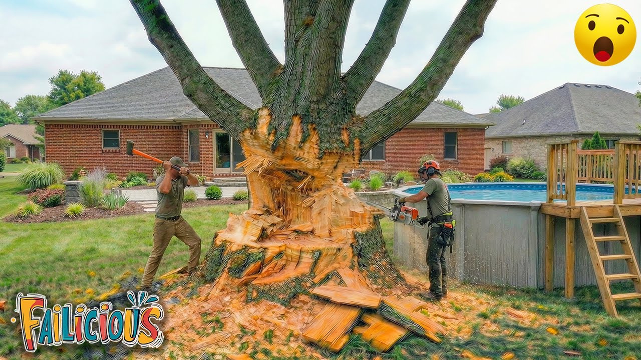 TOTAL IDIOTS AT WORK | Instant Regret Fails Compilation 2025 | Best fail of the week😂 #72