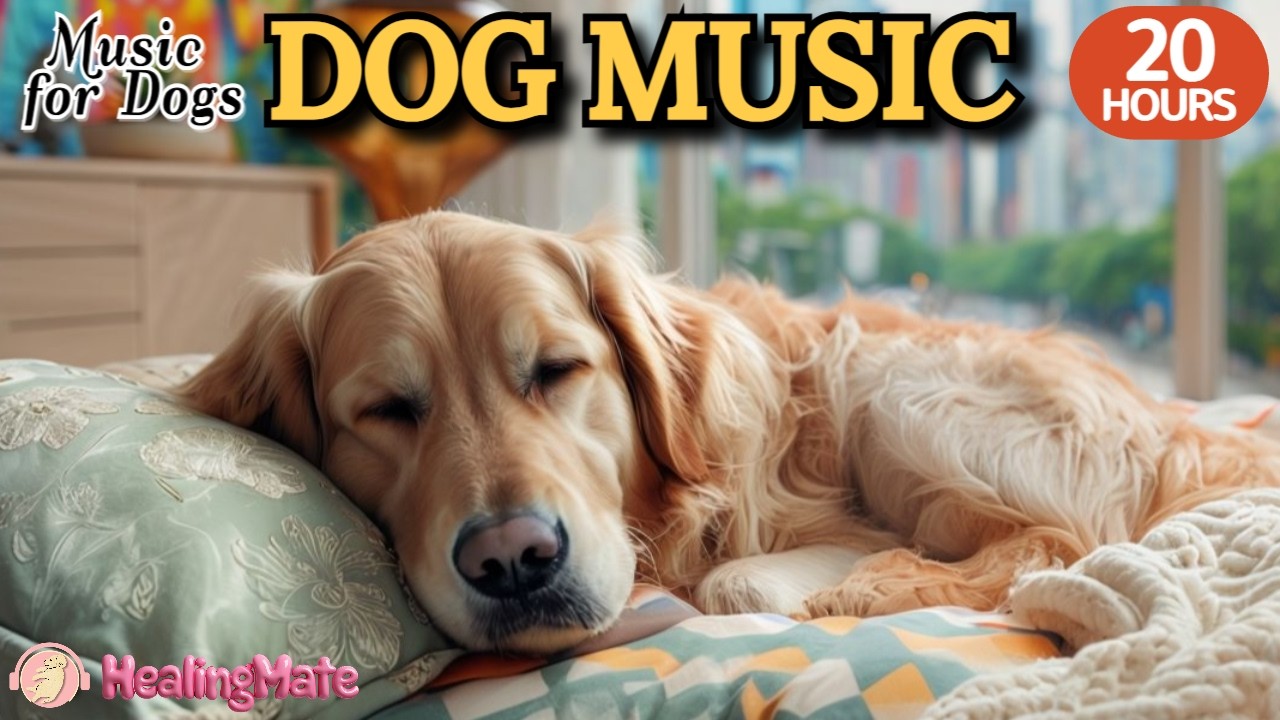 강아지가 좋아하는 음악💖🎵강아지 수면 음악 20시간🐶💖강아지 분리불안 해소 음악🎵💖집에 혼자있는 강아지의 스트레스 해소🐶💖출근할때 외출할때 틀어주세요 by 힐링메이트