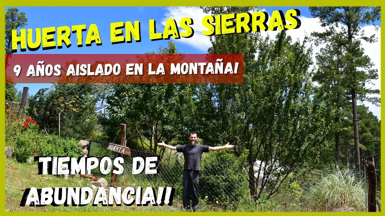 Una Huerta de MONTAÑA en plena productividad 🤩 | Momentos de ABUNDANCIA 🌿🌶🍏