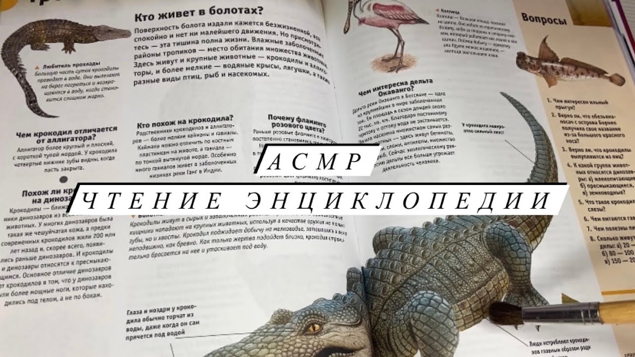 АСМР | Чтение энциклопедии ASMR | Шелест страниц | Кисточка | Близкий шепот