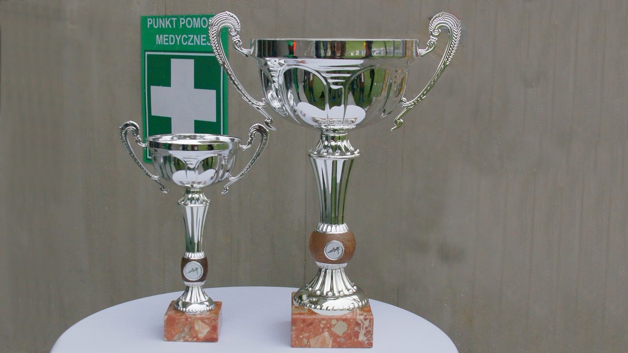 Master Pharm Budowlani Łódź-Ogniwo Sopot 17:6 (3:6)