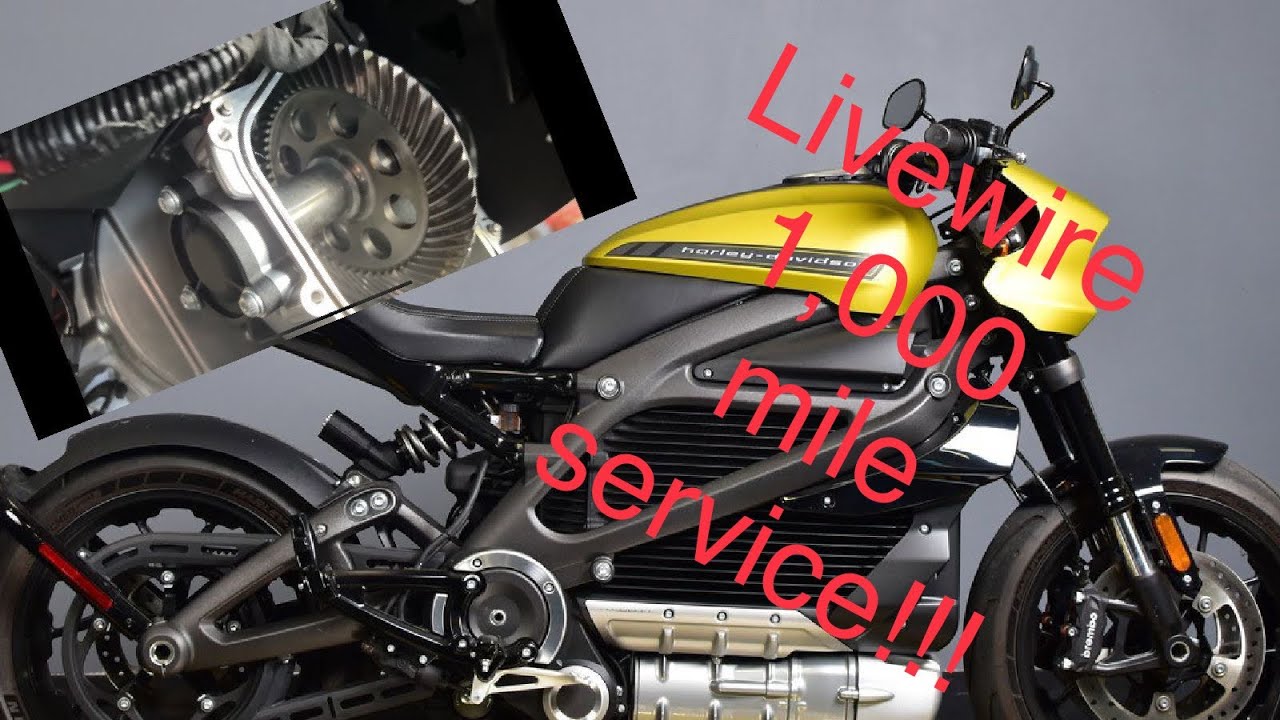 Livewire Harley Davidson 1,000 mile full service and transmission fluid change