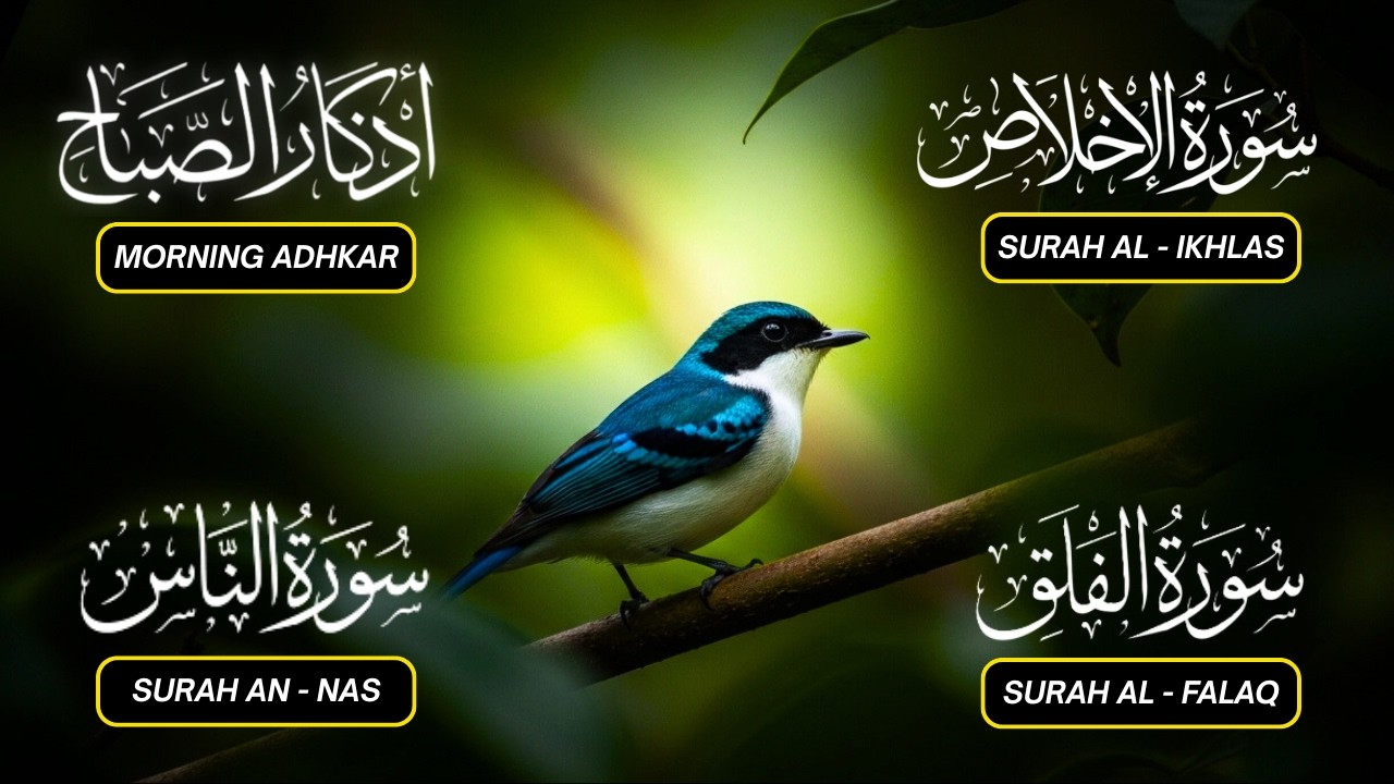 Magical Recitation Morning Dhikr (أذكار الصباح) | Listen Daily Source of Peace, Barakah & Protection