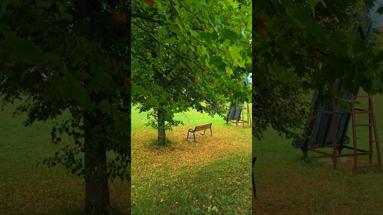 #The relaxing atmosphere in the Caransebes City natural Park.