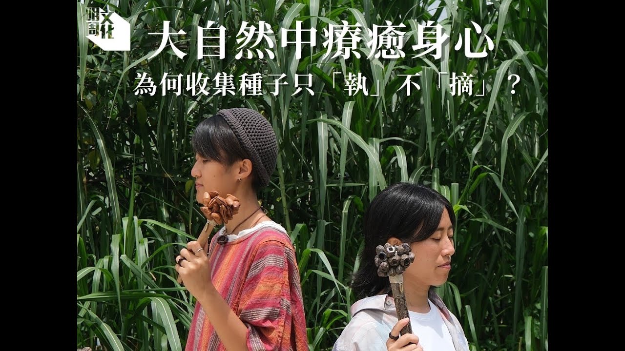 【我城的聲音｜種子．樂】90後女生裸辭投身種子工藝 大自然中療癒身心 為何收集種子只「執」不「摘」？ 緣木種子：這種子的聲音像流水，一聽到便一見鍾情