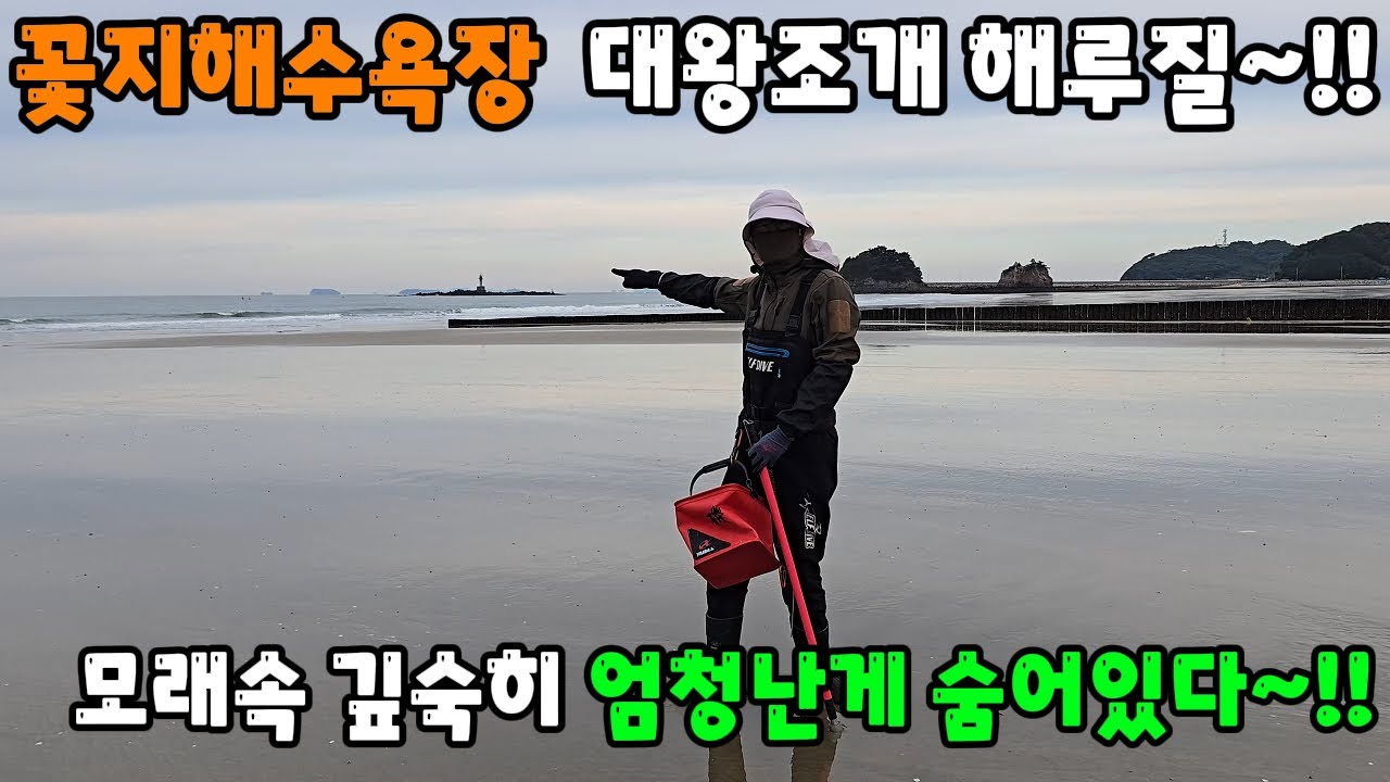 꽃지해수욕장 대왕조개 해루질~ 모래속 깊숙히 엄청난게 숨어있다~!!