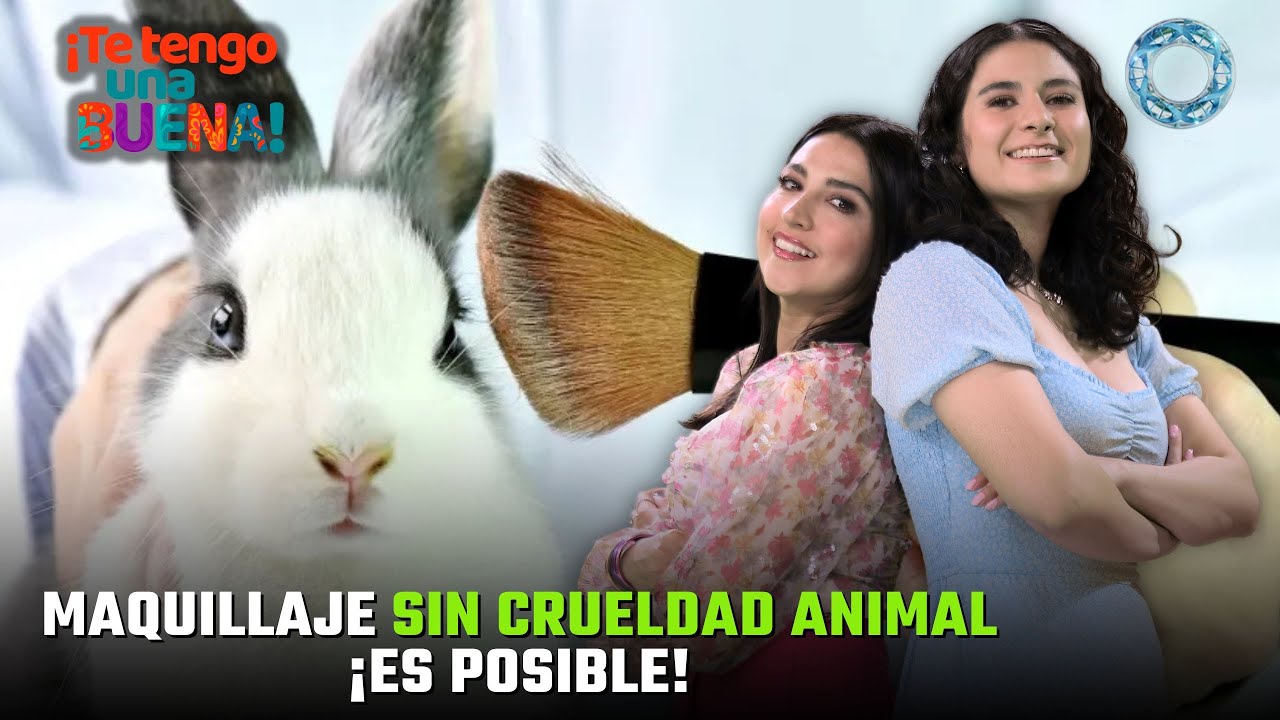 Maquillaje sin CRUELDAD ANIMAL ¡Es posible! 💄