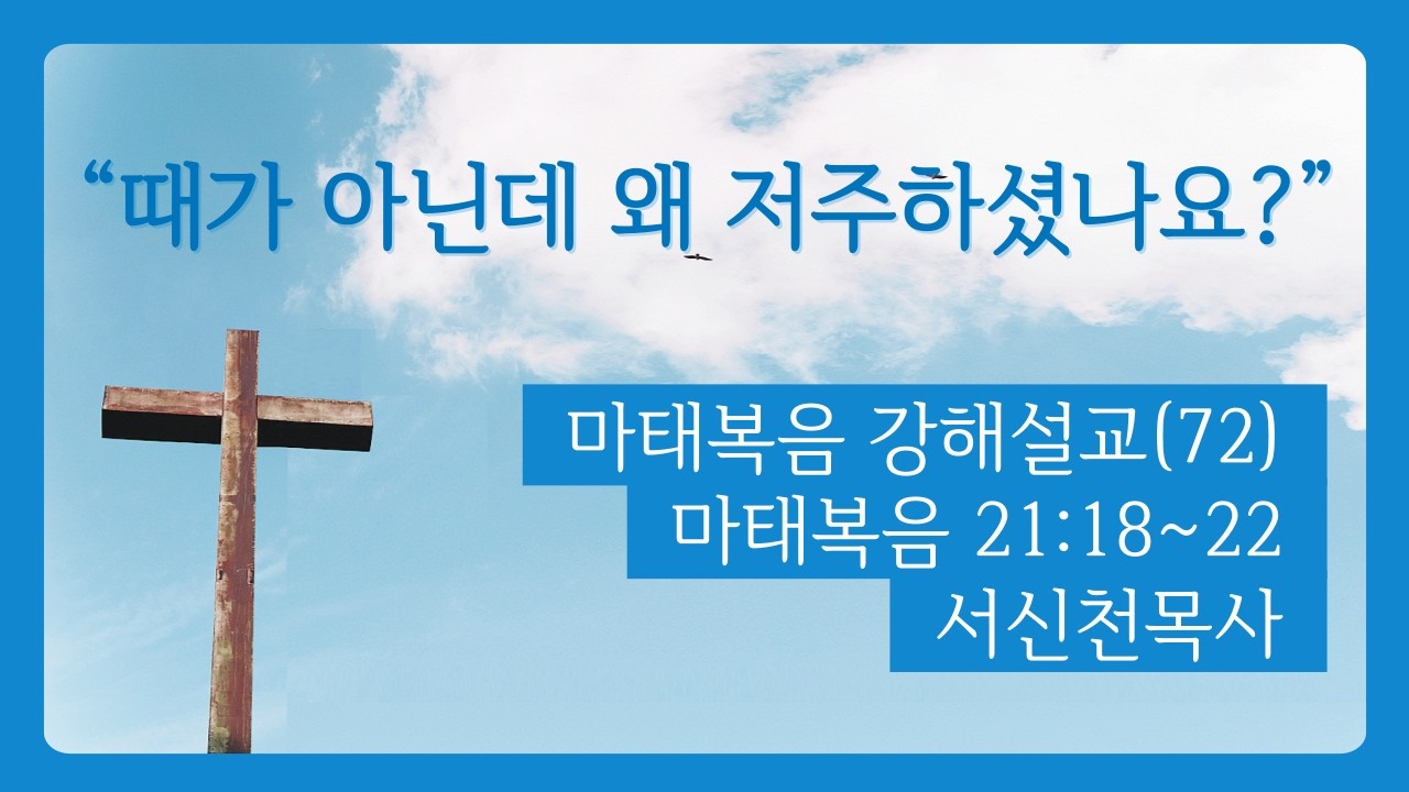 마태복음 강해설교(72) “때가 아닌데 왜 저주하셨나요?”