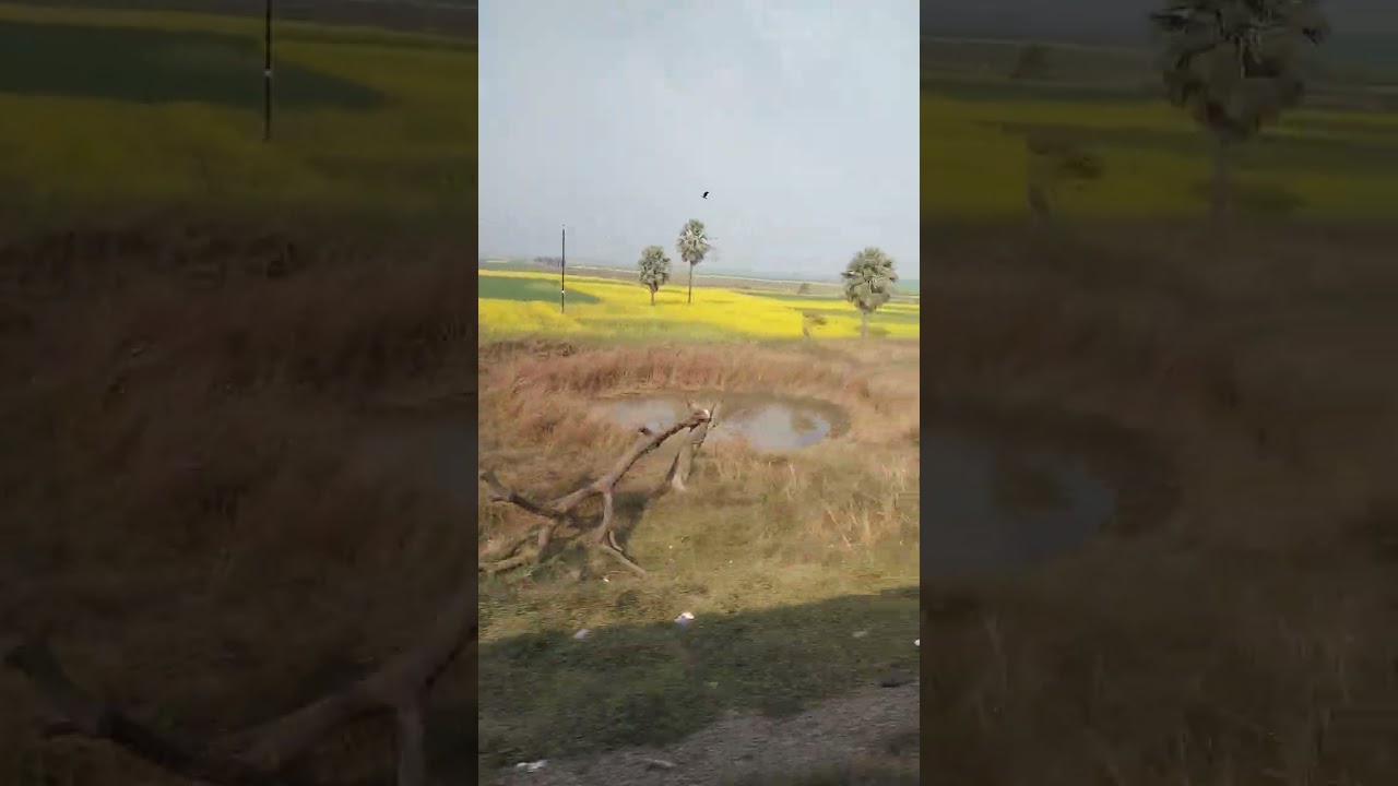 ये Video 27 January 2026 का है।