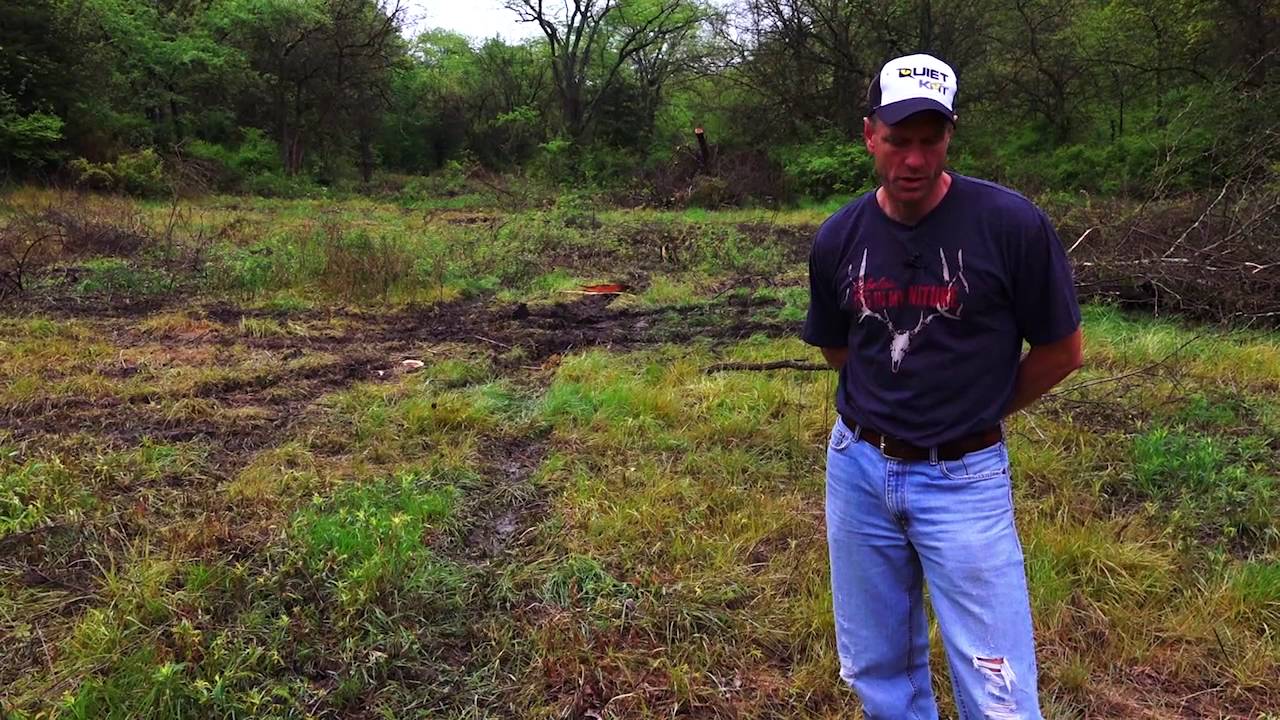 Spring Food Plots vs Fall Food Plots