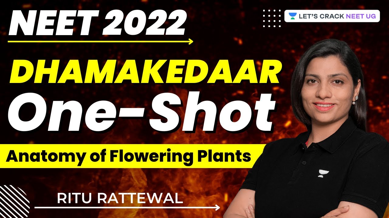 Phoenix 2.0: Biology Most Important Video for NEET 2025 | Udaan