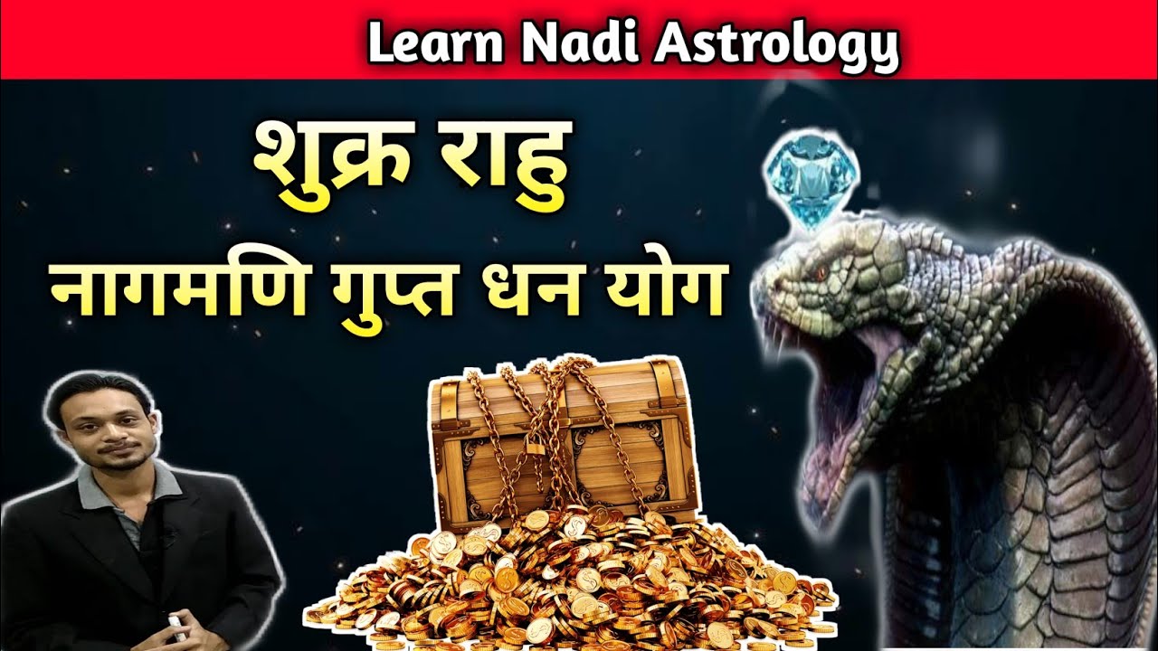 Shukr Rahu Yuti Fal | शुक्र राहु नागमणि गुप्त धन योग | शुक्र राहु युति फल | Venus Rahu Conjunction