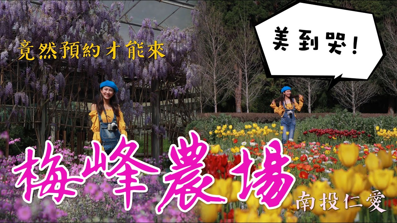 跟著丁小羽去台大梅峰農場(國立臺灣大學山地實驗農場)走訪梅峰園區、採水蜜桃，一起來南投隱藏版的祕密花園！