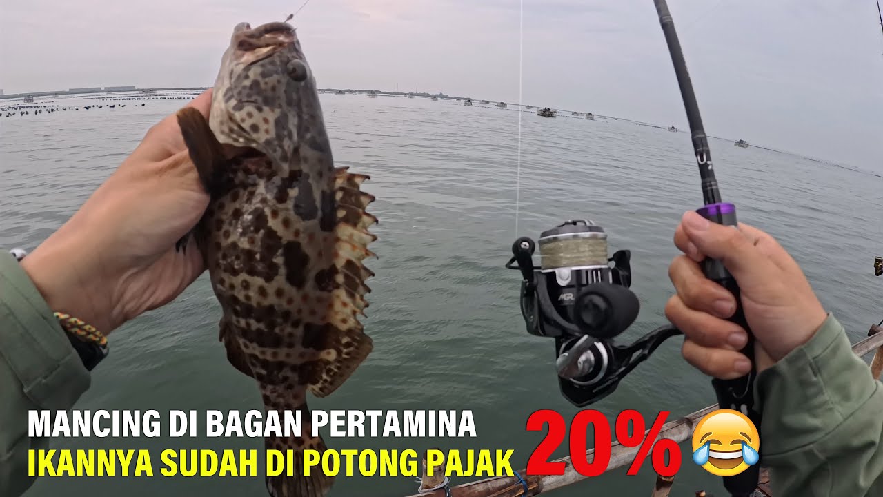 Mancing Ikan Disini Banyak POTONGAN PAJAKNYA!! Bagan Tengah Pertamina Fajar Ivoni Ayu @Mancing_Gaes