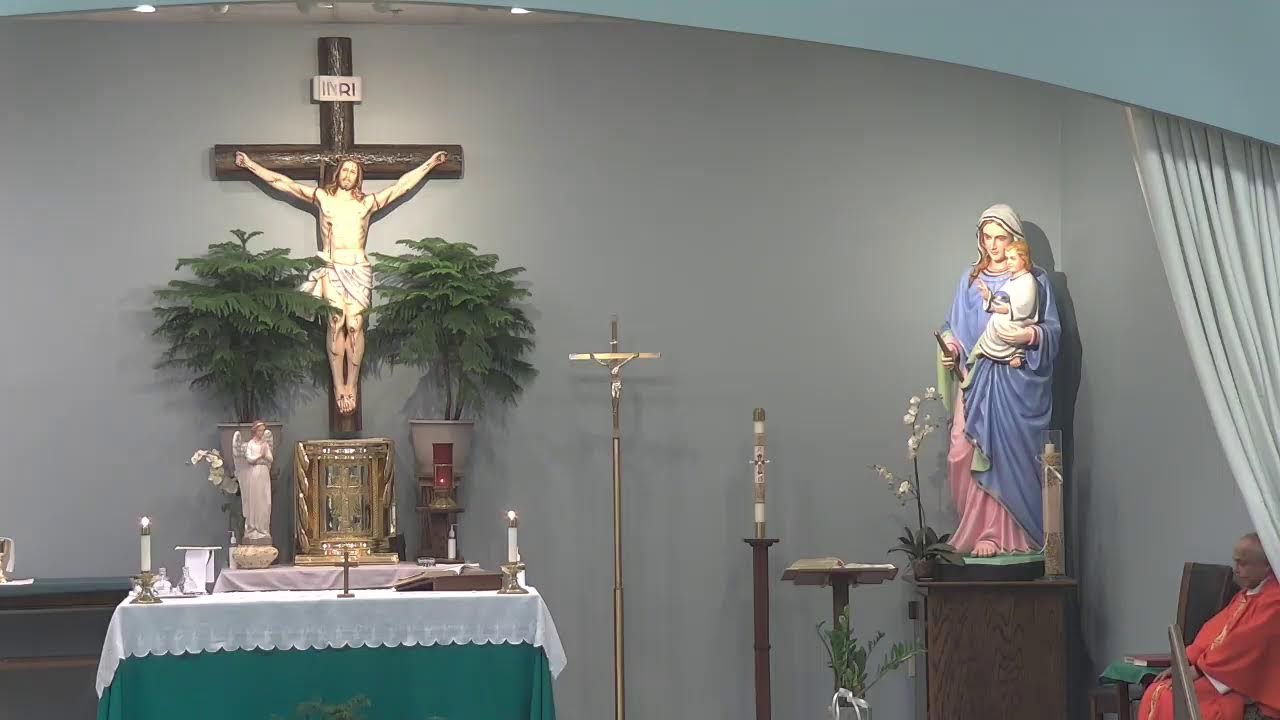 Most Merciful Jesus Catholic Parish Daily Mass - February 5, 2026