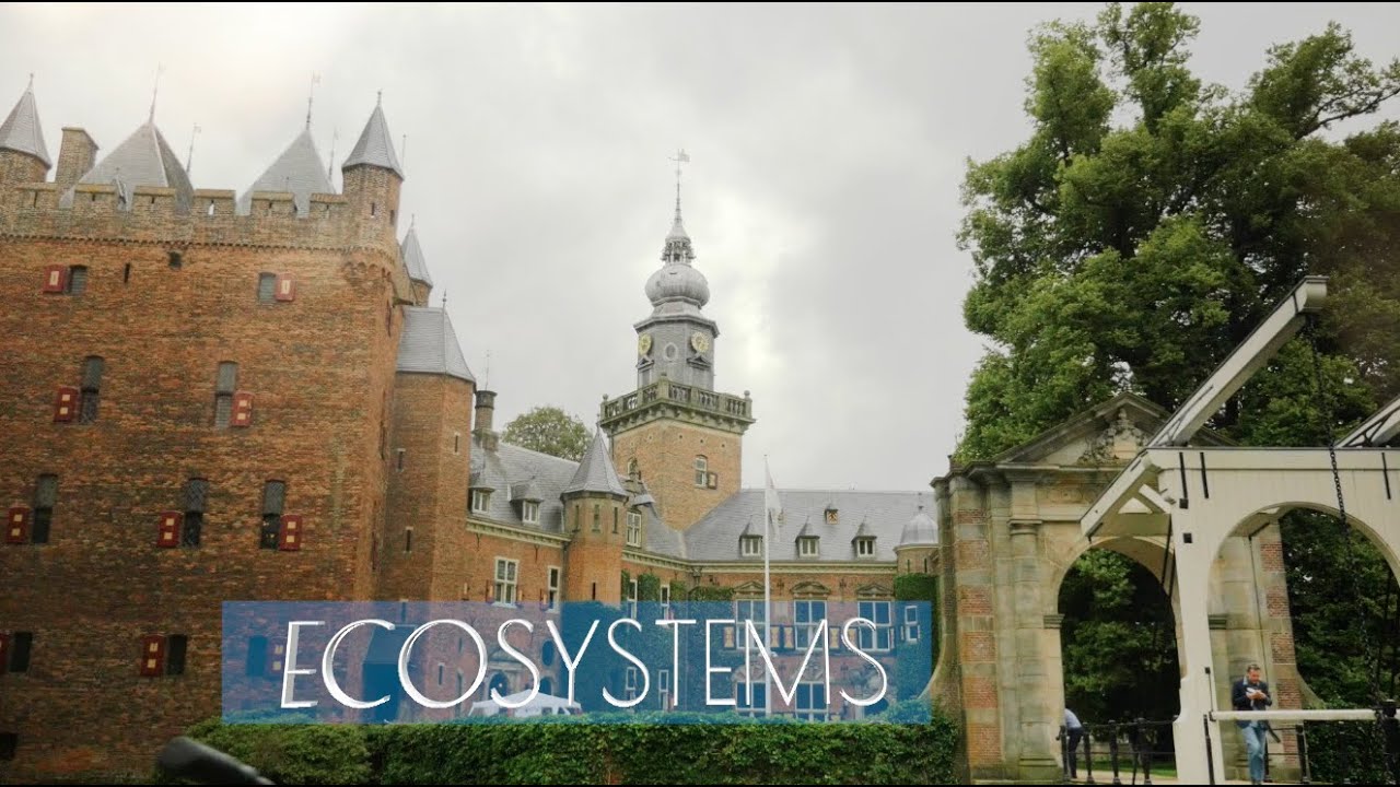 Ecosystems by Prof. Dr. Annemieke Roobeek