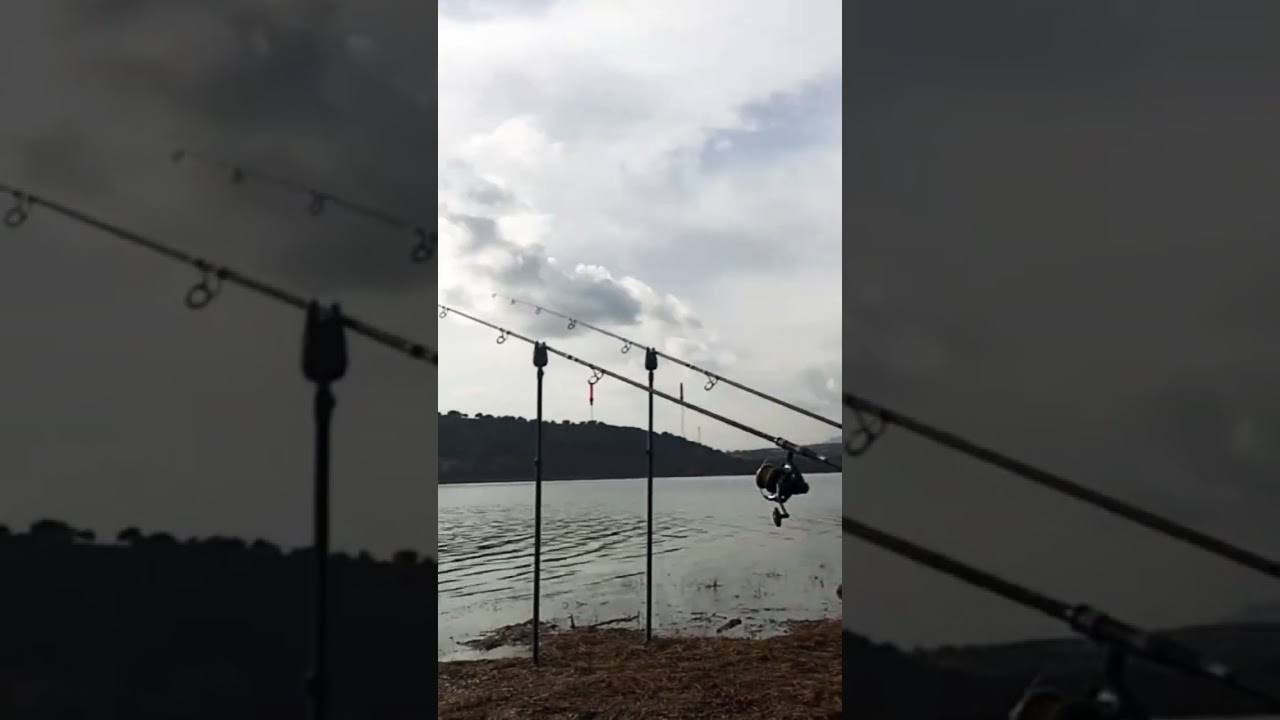 Carpfishing timelapse #capturaysuelta#tiempodepesca #carp#fishing#newmusic #remix #monta&ntilde;aylibertad